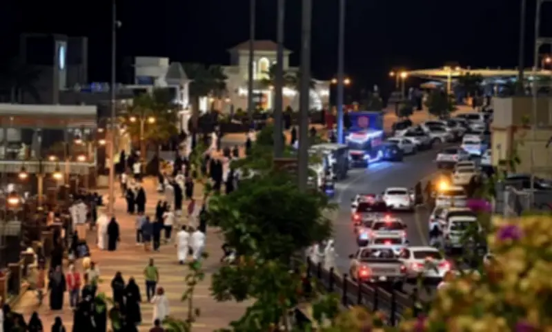 عسير تحتل المرتبة الخامسة في السجلات التجارية بالمملكة مع نمو في السياحة والثقافة والتقنيات الحديثة