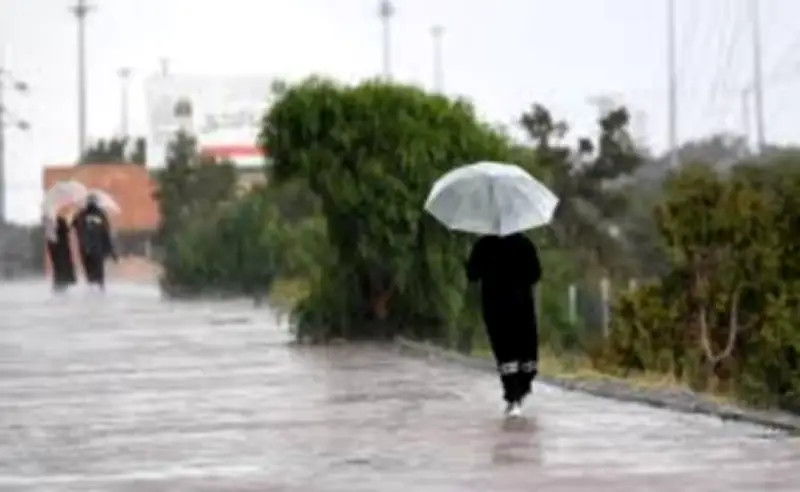 وزير التعليم يعلن عن إطلاق برنامج جديد لتعزيز مهارات الطلاب في العلوم والتكنولوجيا والهندسة والرياضيات