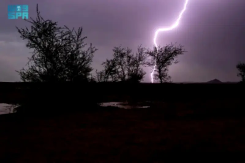 وزير الصحة السعودي يعلن عن إطلاق برنامج وطني شامل للكشف المبكر عن الأمراض المزمنة