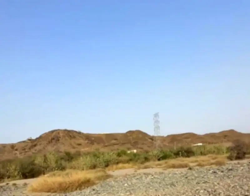 وزير التعليم يعلن عن إطلاق برنامج جديد لتحسين جودة التعليم في المدارس الحكومية