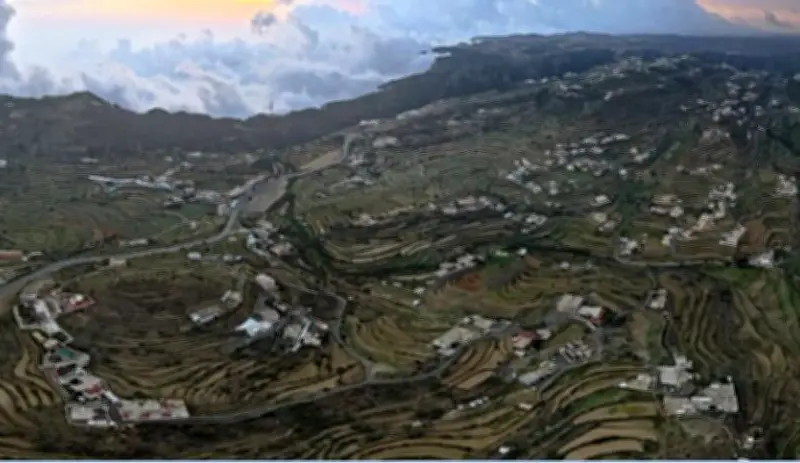 عسير: جبال السروات والوديان الخصبة تروي قصة تنوع زراعي فريد يدعم الاقتصاد المحلي والهوية الثقافية