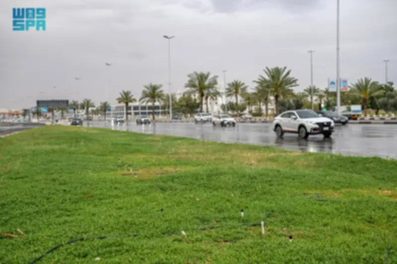 وزير الصحة السعودي يعلن عن إطلاق برنامج وطني للكشف المبكر عن الأمراض المزمنة