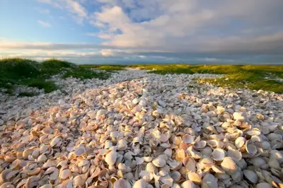 اكتشاف جزيرة فيجي الغامضة: تشكلت من أصداف المحار منذ 1200 عام