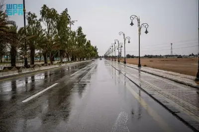 هطول أمطار غزيرة في الحدود الشمالية: محطة مطار طريف تسجل 15.2 ملم