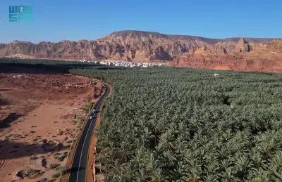 قيمة صادرات التمور السعودية تتجاوز 1.9 مليار ريال في 2025 بنمو 14.3%