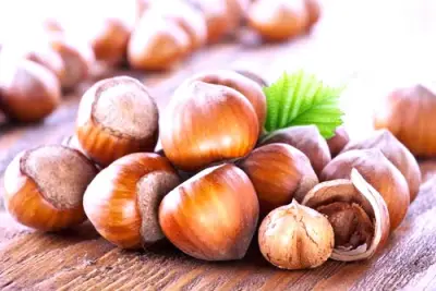 توقعات بتحول المملكة لمركز عالمي للسياحة والترفيه بحلول 2030