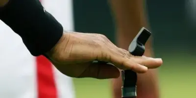 طواقم تحكيم مباريات الجولة 29 من دوري روشن السعودي