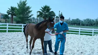 اعتراف دولي لمختبر صحة حيوانية سعودي بـ 33 دولة