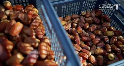 صادرات التمور السعودية تحقق قفزات تصل إلى 67% في الأسواق العالمية