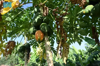 وزير التعليم يعلن إطلاق برنامج جديد لتحسين جودة التعليم في المدارس الحكومية