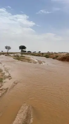 وزير الصحة السعودي يعلن عن إطلاق برنامج وطني شامل لتعزيز الصحة النفسية للمواطنين
