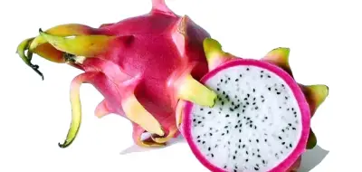 وزير الصحة السعودي يعلن عن إطلاق برنامج وطني للكشف المبكر عن السرطان