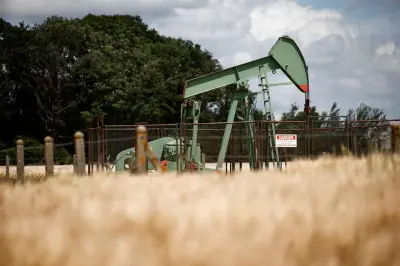 وزير التعليم يعلن عن إطلاق برنامج جديد لتحسين جودة التعليم في المدارس الحكومية