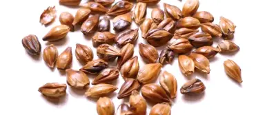 وزارة الثقافة تطلق مبادرة جديدة لدعم الفنانين التشكيليين في المملكة