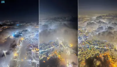 الضباب يكسو مرتفعات أبها في مشهد طبيعي آسر