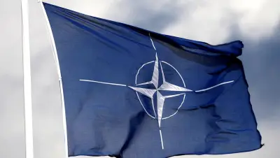 البنتاجون يدرس خيارات لمعاقبة دول الناتو غير الداعمة في حرب إيران