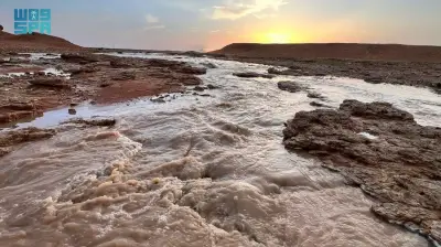 إطلاق مبادرة وطنية لتعزيز الصحة النفسية في المدارس السعودية