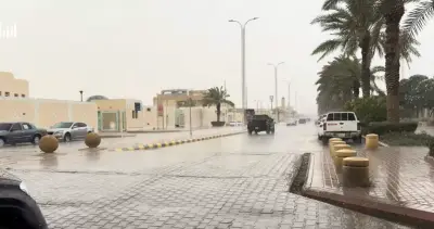 أمطار متوسطة وخفيفة على الرياض حتى الجمعة وأجواء ربيعية مميزة