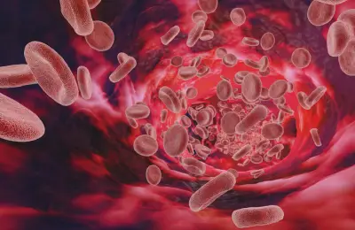 حل لغز علمي دام نصف قرن عن اختلافات فصائل الدم قد يحدث ثورة في نقل الدم