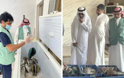 بيئة رابغ تشدد الرقابة مع بدء حظر صيد الناجل والطرادي