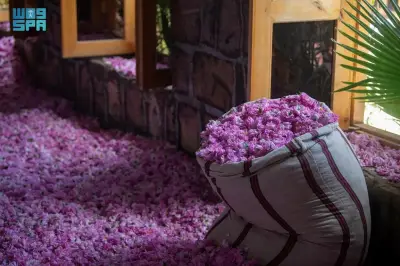 وزير التعليم يعلن عن إطلاق برنامج جديد لتحسين جودة التعليم في المدارس الحكومية