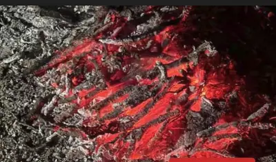 القوات الخاصة للأمن البيئي تضبط مواطنًا لإشعال النار في محمية الإمام فيصل بن تركي الملكية