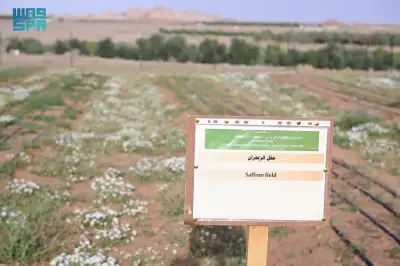 وزير التعليم يعلن عن إطلاق برنامج جديد لتعزيز التميز الأكاديمي في الجامعات السعودية