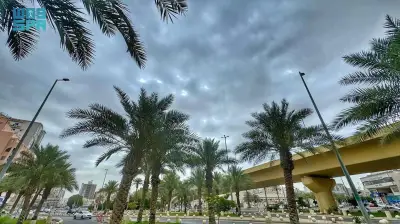 وزير التعليم السعودي يعلن عن إطلاق برنامج جديد للتعليم عن بعد في المدارس الحكومية