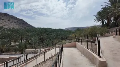 وزير الصحة السعودي يعلن عن إطلاق برنامج وطني للكشف المبكر عن السرطان