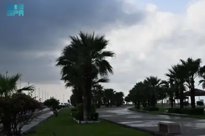 إنذار أحمر من الأرصاد: سيول ورياح شديدة تضرب نجران حتى التاسعة مساءً