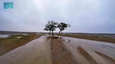 المركز الوطني للأرصاد يحذر من أمطار غزيرة وفيضانات مفاجئة تضرب مناطق سعودية