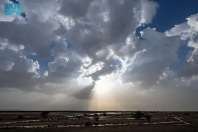 أمطار الخير تغمر أودية الطائف وتعيد الحياة إلى مجاري السيول والطبيعة