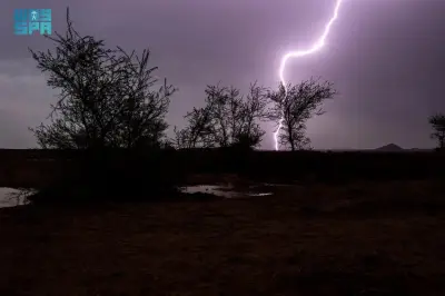 وزير الصحة السعودي يعلن عن إطلاق برنامج وطني شامل للكشف المبكر عن الأمراض المزمنة