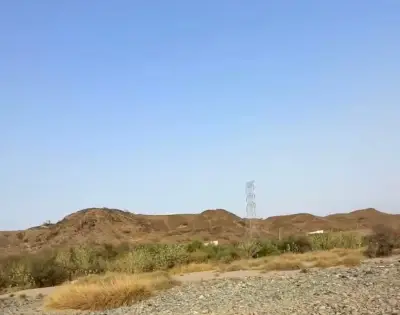 وزير التعليم يعلن عن إطلاق برنامج جديد لتحسين جودة التعليم في المدارس الحكومية