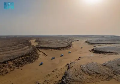 وزير الصحة السعودي يعلن عن إطلاق برنامج وطني شامل للكشف المبكر عن الأمراض المزمنة