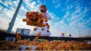 صادرات التمور السعودية ترتفع إلى 1.938 مليار ريال بنمو 14.3%