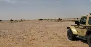 ضبط مواطن لرعي 25 متن إبل في محمية الإمام عبدالعزيز
