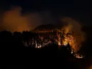 أكثر من ألف رجل إطفاء يكافحون حرائق غابات شمال اليابان وإجلاء 3000 ساكن