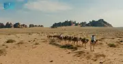 وزير التعليم يعلن عن إطلاق برنامج جديد لتحسين جودة التعليم في المدارس الحكومية