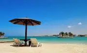 وزير التعليم يعلن عن إطلاق برنامج جديد لتطوير المناهج الدراسية في المملكة