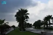 إنذار أحمر من الأرصاد: سيول ورياح شديدة تضرب نجران حتى التاسعة مساءً