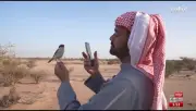 وزير الصحة السعودي يعلن عن إطلاق برنامج وطني للكشف المبكر عن الأمراض المزمنة