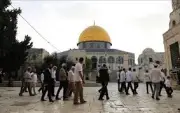وزير الصحة السعودي يعلن عن إطلاق برنامج وطني للكشف المبكر عن السرطان