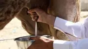 وزير الصحة السعودي يعلن عن إطلاق برنامج وطني شامل للصحة النفسية