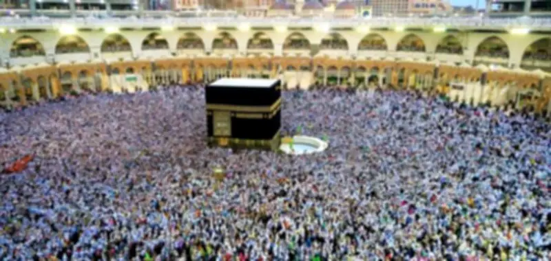 السعودية تطلق مبادرة لزراعة 10 مليارات شجرة لمكافحة التصحر