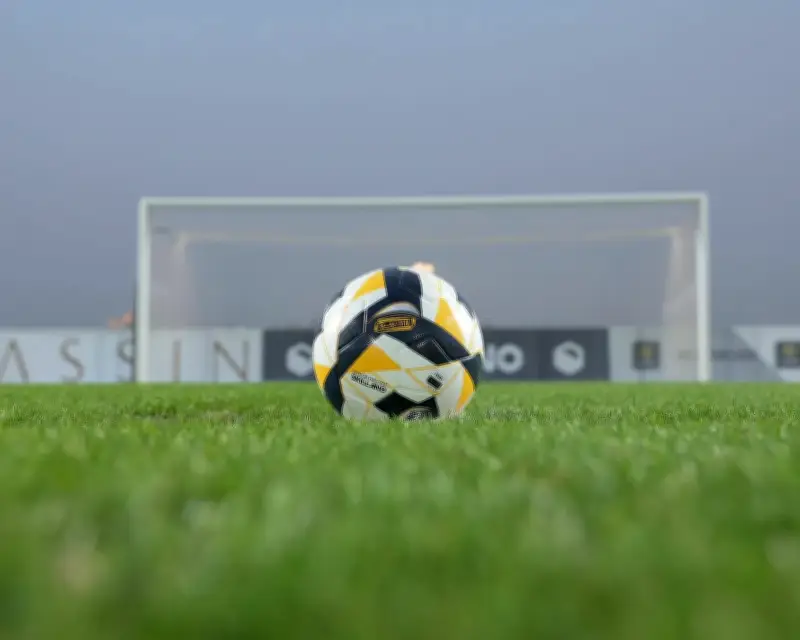 منح 10 أندية تراخيص دوري يلو و8 تنتظر الاستئناف