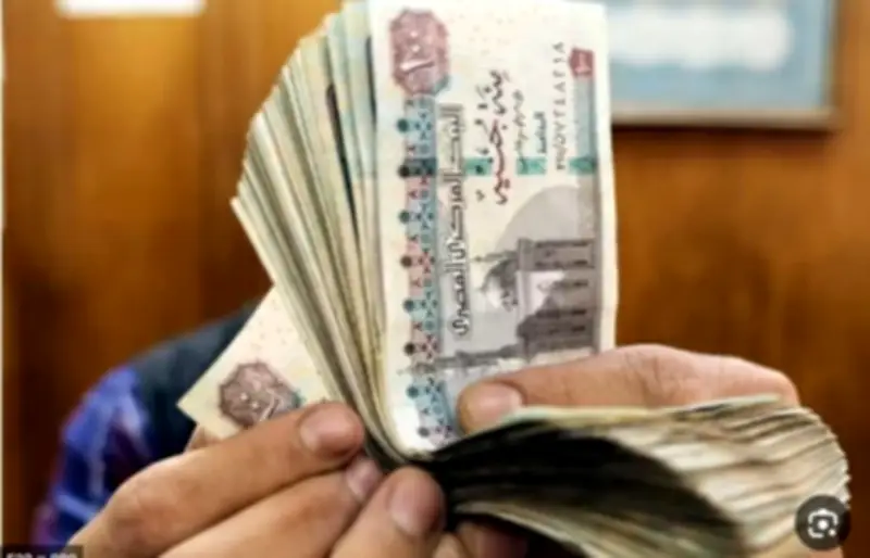 متوسط سعر صرف الريال السعودي أمام الجنيه المصري 14.03 جنيه