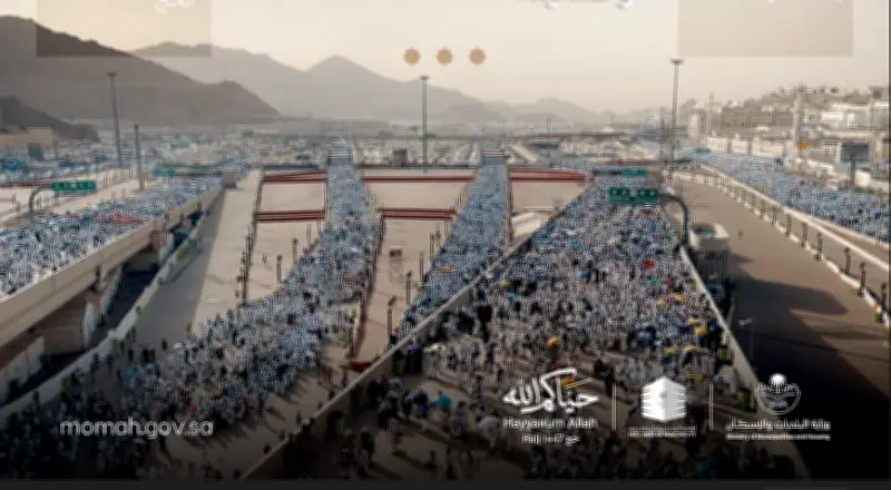 نجاح خطة أمانة العاصمة المقدسة التشغيلية لموسم حج 1447هـ