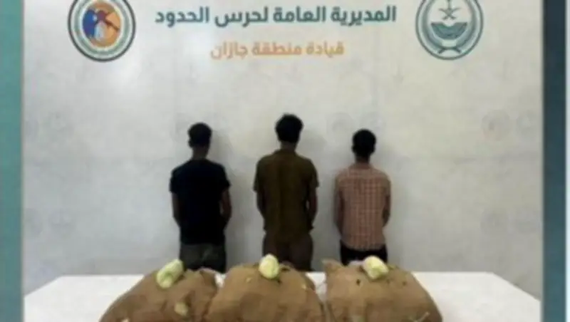 ضبط 3 إثيوبيين بحوزتهم 60 كيلو قات في جازان