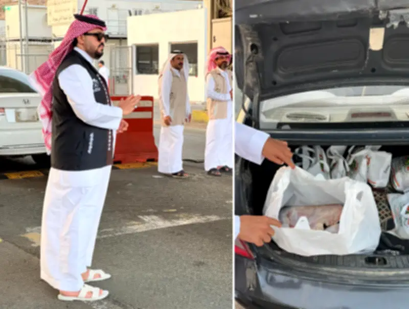 أمانة الطائف تحبط تهريب 45 ذبيحة فاسدة في أول أيام عيد الأضحى